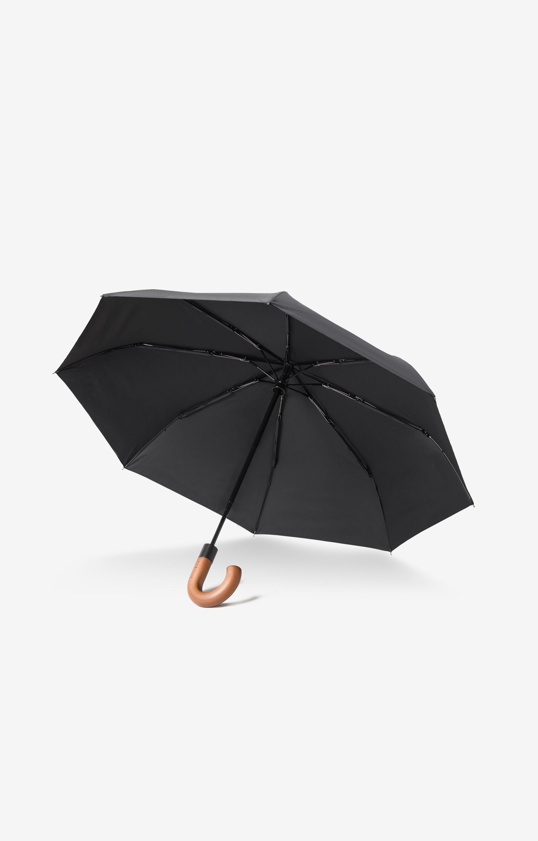 Parasol - 2