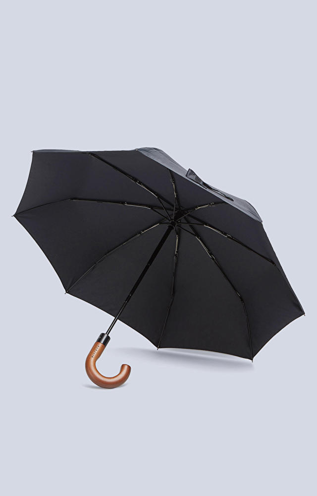 Parasol - 2
